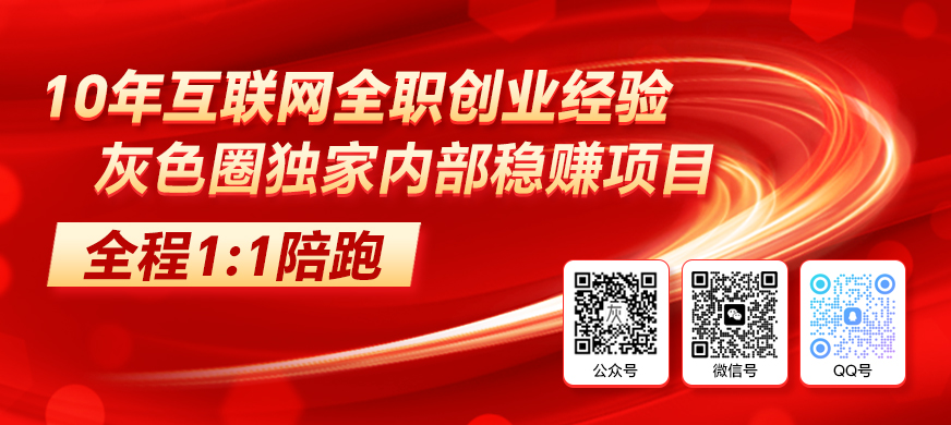 内部项目陪跑