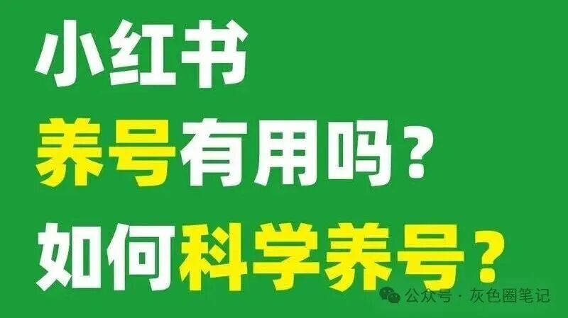 你还在手动养号？教你7天全自动打出小红薯高权重（附神器）
